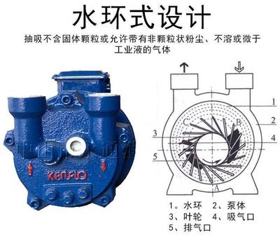CDF1212-OAD2卧式无油抽气泵KENFLO液环式真空泵